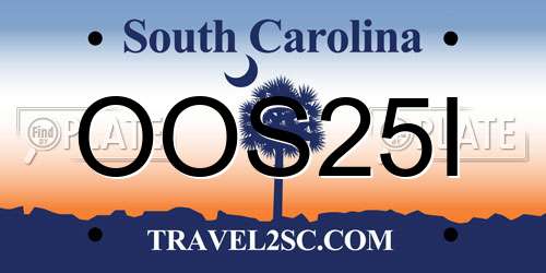 OOS25I South Carolina License Plate