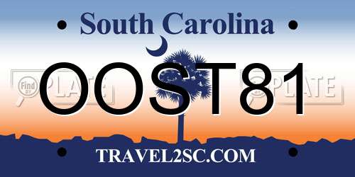OOST81 South Carolina License Plate