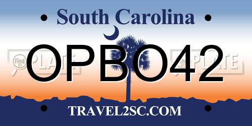 OPBO42 South Carolina License Plate