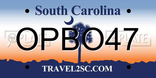 OPBO47 South Carolina License Plate