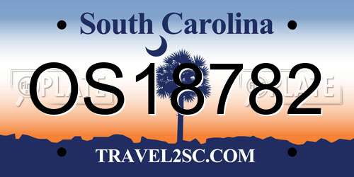 OS18782 South Carolina License Plate