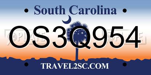 OS3Q954 South Carolina License Plate