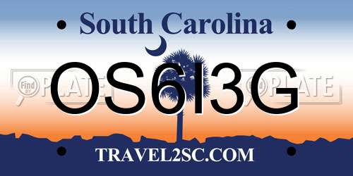 OS6I3G South Carolina License Plate