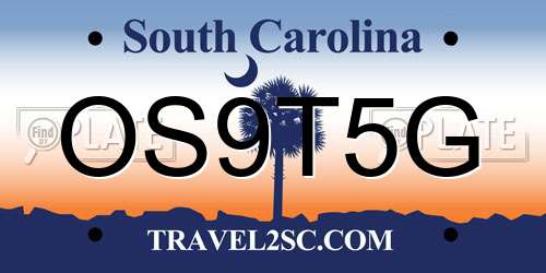OS9T5G South Carolina License Plate