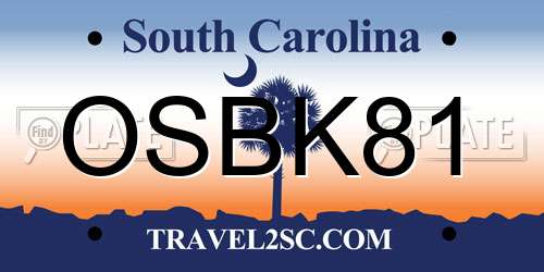 OSBK81 South Carolina License Plate