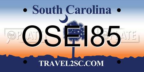 OSEI85 South Carolina License Plate