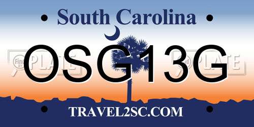 OSG13G South Carolina License Plate