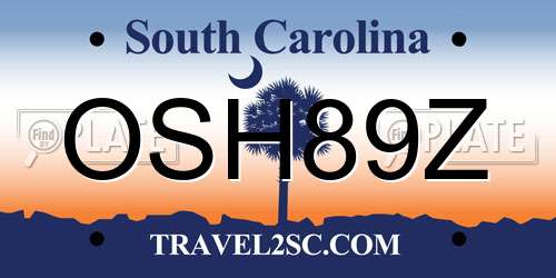 OSH89Z South Carolina License Plate