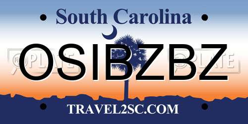 OSIBZBZ South Carolina License Plate