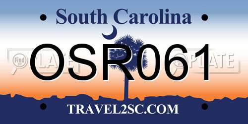 OSR061 South Carolina License Plate