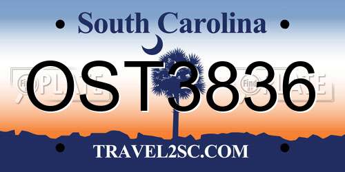 OST3836 South Carolina License Plate