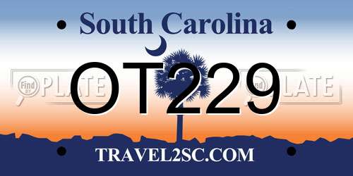 OT229 South Carolina License Plate