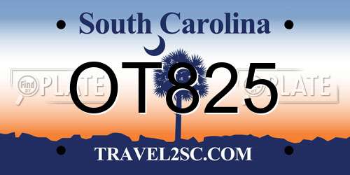 OT825 South Carolina License Plate