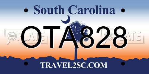 OTA828 South Carolina License Plate