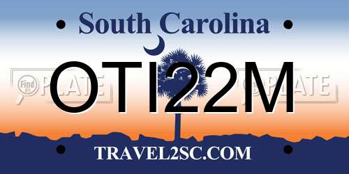 OTI22M South Carolina License Plate