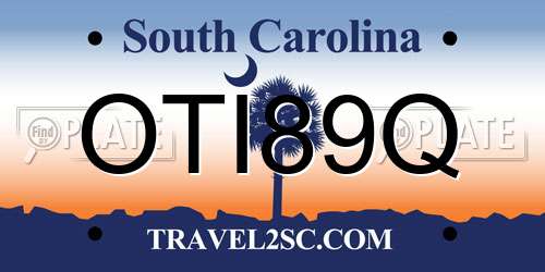 OTI89Q South Carolina License Plate