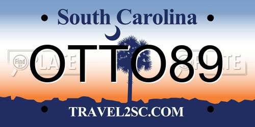 OTTO89 South Carolina License Plate