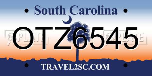 OTZ6545 South Carolina License Plate