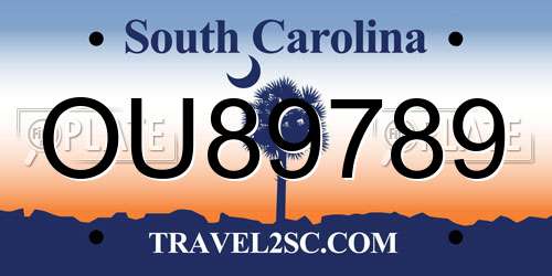 OU89789 South Carolina License Plate