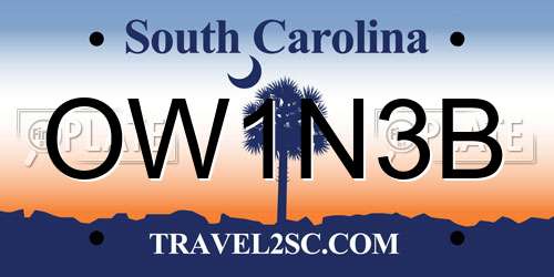 OW1N3B South Carolina License Plate
