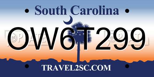 OW6T299 South Carolina License Plate
