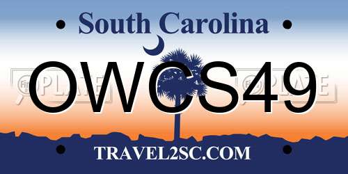 OWCS49 South Carolina License Plate