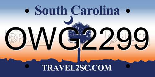 OWG2299 South Carolina License Plate
