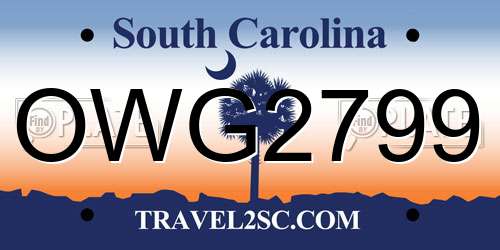 OWG2799 South Carolina License Plate