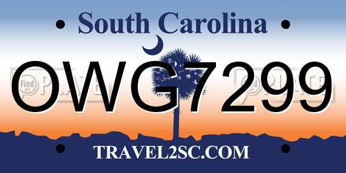 OWG7299 South Carolina License Plate