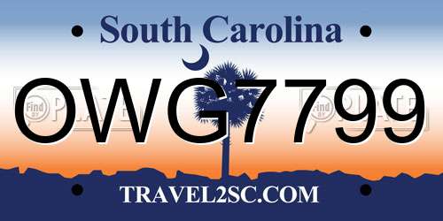OWG7799 South Carolina License Plate