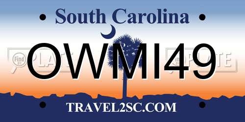 OWMI49 South Carolina License Plate