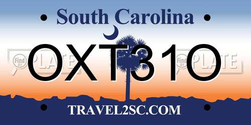 OXT31O South Carolina License Plate