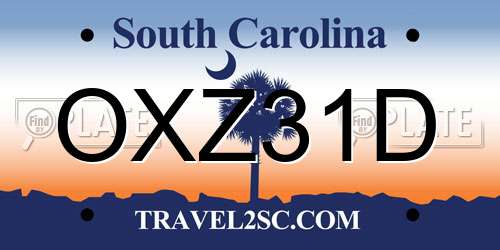 OXZ31D South Carolina License Plate