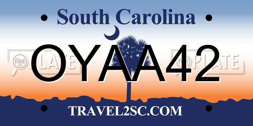 OYAA42 South Carolina License Plate
