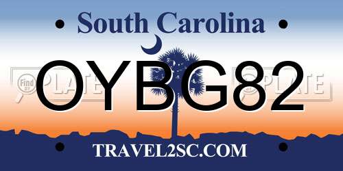 OYBG82 South Carolina License Plate