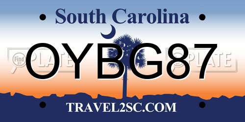 OYBG87 South Carolina License Plate