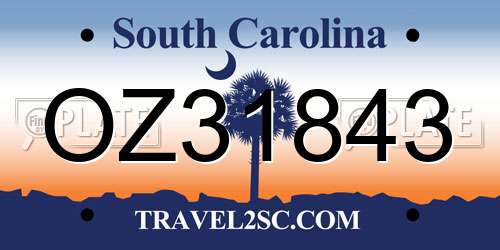 OZ31843 South Carolina License Plate