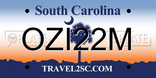 OZI22M South Carolina License Plate