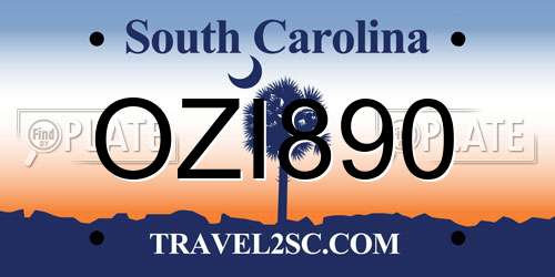 OZI890 South Carolina License Plate