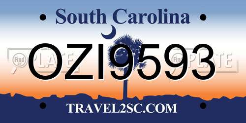 OZI9593 South Carolina License Plate
