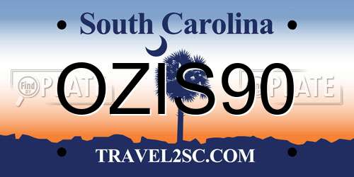 OZIS90 South Carolina License Plate
