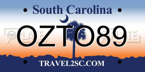 OZTO89 South Carolina License Plate