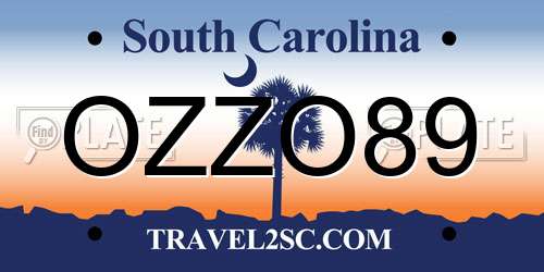 OZZO89 South Carolina License Plate