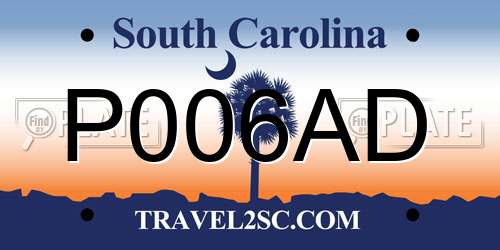 P006AD South Carolina License Plate