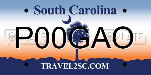 P00GAO South Carolina License Plate