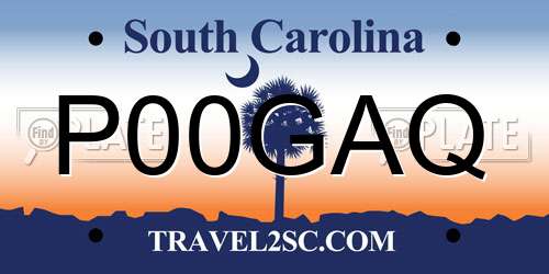 P00GAQ South Carolina License Plate
