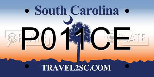 P011CE South Carolina License Plate