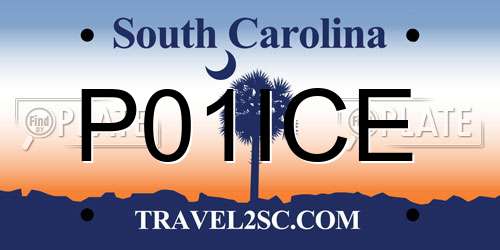 P01ICE South Carolina License Plate