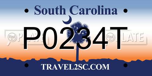 P0234T South Carolina License Plate