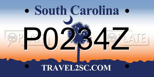 P0234Z South Carolina License Plate